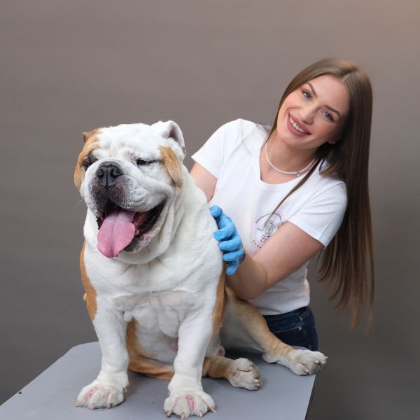 šišanje pasa klijenti 2