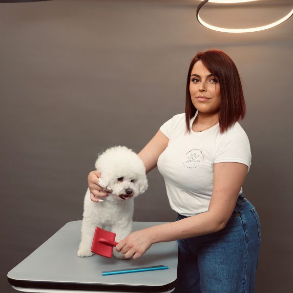 šišanje pasa klijenti 5